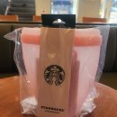 덕진-86 | 4월 8일 오늘 직접 구매! 스타벅스 실리콘 푸드백 가격, 피스타치오 프라푸치노 세트 후기