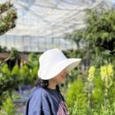 (주)브룩사이드 이미지