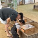 닭사랑농장 | 서울 근교 동물 먹이주기 체험 농장, 경기 부천시 오정구(김포공항 인근) 나눔농장 재방문 후기❤️