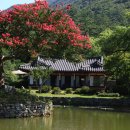 진도 운림산방 이미지