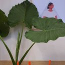 베러먼데이일광신도시점 이미지