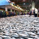 부산공동어시장 이미지