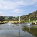 김태식농장 이미지