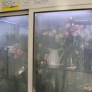 세종시꽃집 - 세종 보람동 벨라앤유꽃집