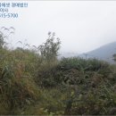 덕곡주유소 이미지