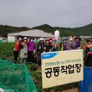 언양농업협동조합 이미지