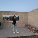 MUSEE뮤제 | MUSEE 뮤제 류이서 가죽자켓 / 후기 리뷰 내돈내산
