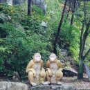 GR(거창군)-[송계사길]-상-3 | 거창 금원산 문바위 가섭암지 마애삼존불상 트래킹