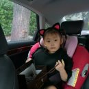 헤어쥬키 이미지