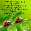 다온농원 이미지