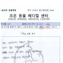 조은동물의료원 이미지