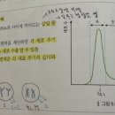 세포 주기 분석 이미지