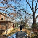 호랑가시나무민박 이미지