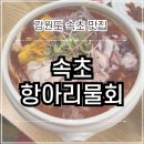 항아리 | 속초 여행 맛집 | 속초 동명항 근처 항아리물회 내돈내산 후기 주차정보