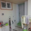 강동초교 이미지