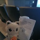 예솔정가 | 영화 &lt;살인자 리포트&gt; 내돈내산 후기