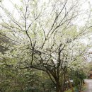 힐링한의원 이미지