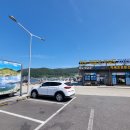 지세포