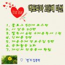 플랜피아주 Daum카페