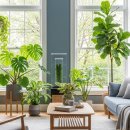 자연을 담은 나만의 패브릭 소품 | 2025년 인테리어 대세! &#39;자연을 담은 집&#39; 바이오필릭 디자인으로 우리 집 거실 꾸미기