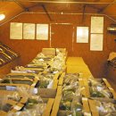 영국2농장 이미지