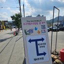 연꽃건강원 | 충남 공주 유구색동수국정원 꽃축제 개화상태