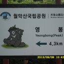 신세화마트 이미지