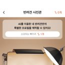 와우동물병원