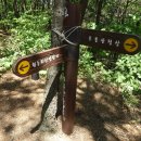 목골 이미지
