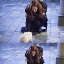 귀여워 강아지 이미지