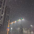 2026 전반전 후기
