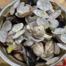 용유로 | [인천 영종도 맛집] 미애네칼국수 1호점 본점｜바다 속 칼국수 솔직 후기