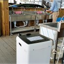 공단셀프세차 이미지