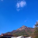벤자민 | 논산글램핑 벤자민펜션&amp;글램핑 솔직 방문 후기