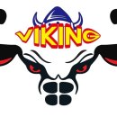 바이킹짐 이미지