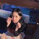 하버드유치원 이미지