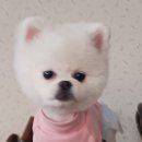 연동 행정복지센터 이미지