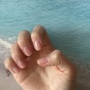 [풍동 네일] 숲속마을 젤네일 꾸밈네일 웨딩손톱관리 케어+영양 내돈내산