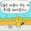 속초중앙시장해물짬뽕 이미지