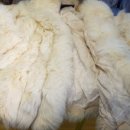 경화세탁소 이미지