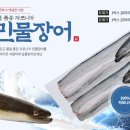 토종풍천민물장어 이미지