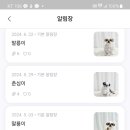 아찌살롱 이미지