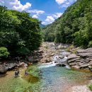 송계목장 | 아이와 함께 가기 좋은 국내 여름 여행지 소개!