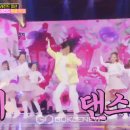미스돼지 이미지