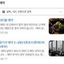 P-5F22 | 피에프창 잠실롯데월드몰 생일파티 솔직후기 | 생일혜택과 예쁜 창가자리, 메뉴와 가격