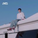 앤츠