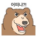 족발야시장 속초교동점 이미지