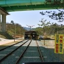 청도레일바이크 이미지