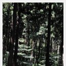 영화마을 이미지