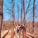 유양초등학교 | [양주]아기랑 양주관아지.불곡산도토리유아숲체험원